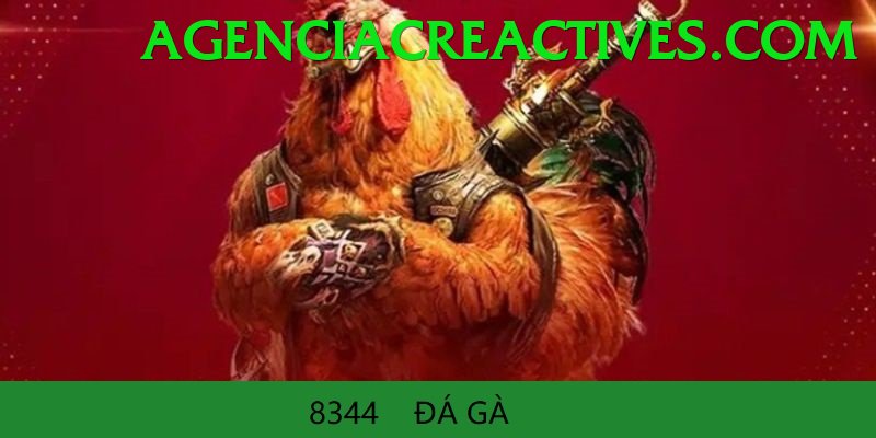 Đá Gà Trực Tiếp - Trải nghiệm tuyệt vời